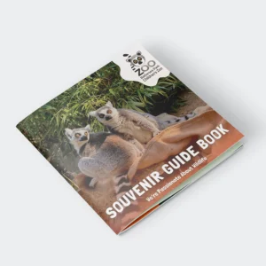 Square Saddle Stitch Booklet