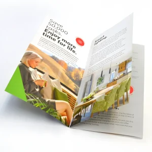 Double Parallel Fold Leaflets