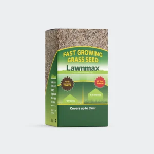 Printed Box with tuck flap