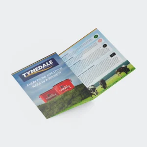 Tri Fold Leaflet & Brochure Printing